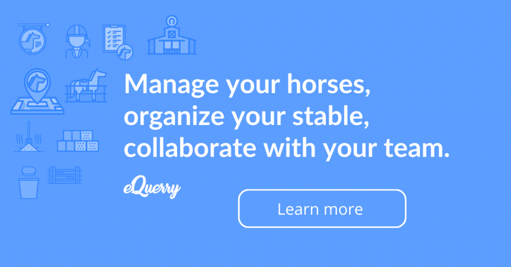 Language select and new desktop navigation equerry horse management app