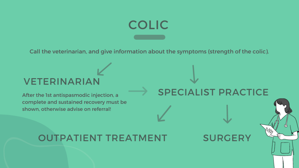 getequerry colic guide